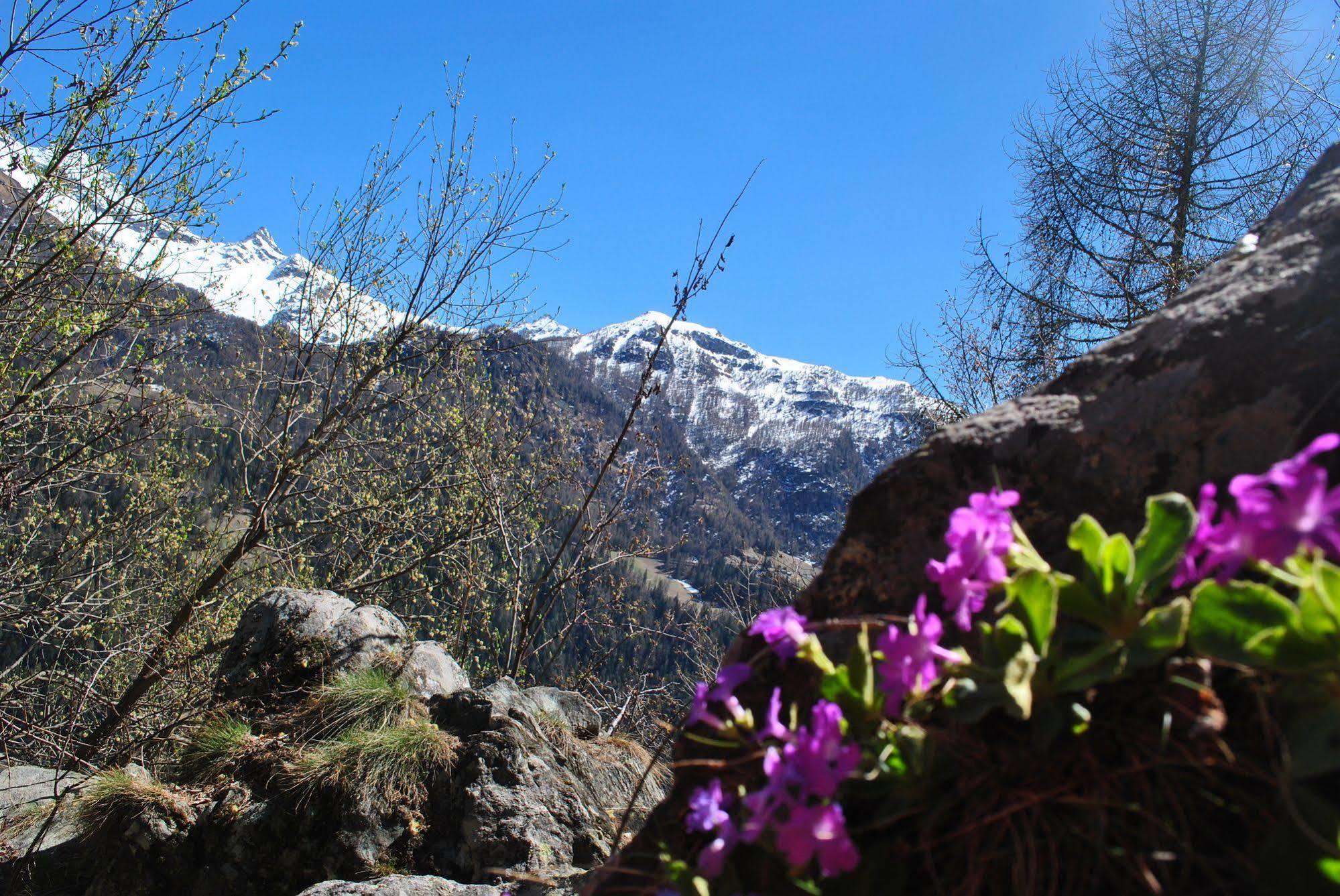 Hotell Millefiori- Alpine Event Lodge Valtournenche Dış mekan fotoğraf
