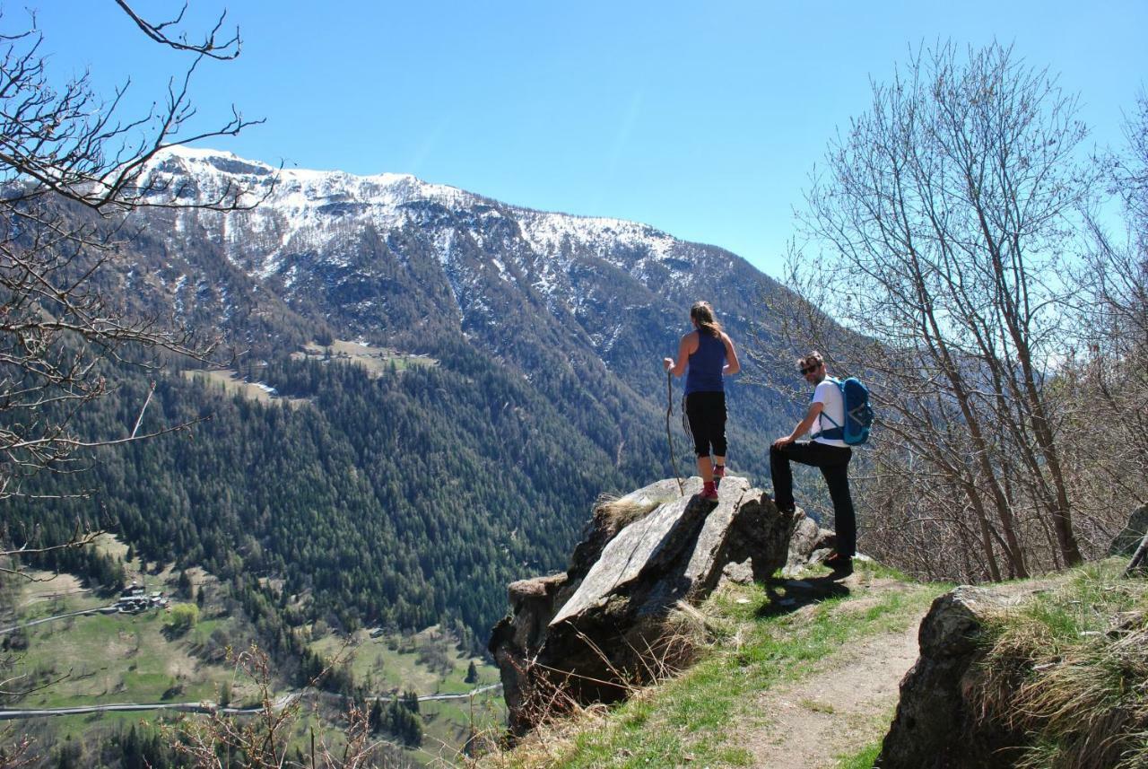 Hotell Millefiori- Alpine Event Lodge Valtournenche Dış mekan fotoğraf