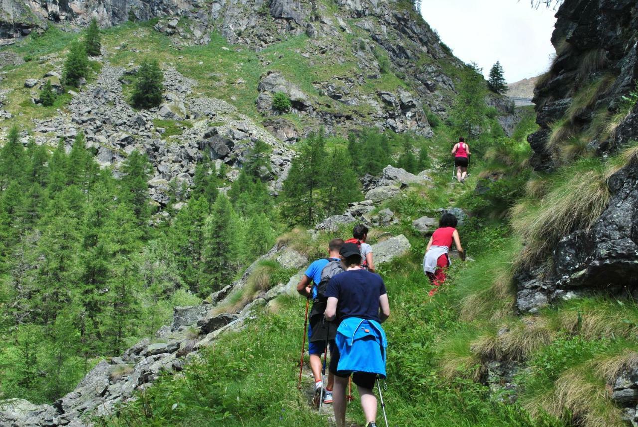 Hotell Millefiori- Alpine Event Lodge Valtournenche Dış mekan fotoğraf