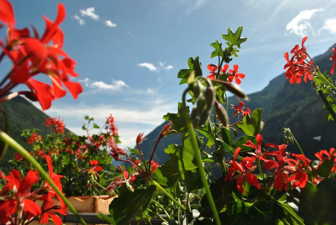 Hotell Millefiori- Alpine Event Lodge Valtournenche Dış mekan fotoğraf